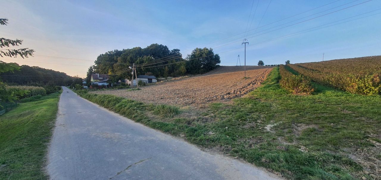 Działka budowlana Bochotnica-Kolonia. Zdjęcie 4