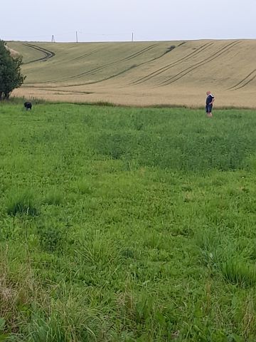 Działka budowlana Waganowice. Zdjęcie 1