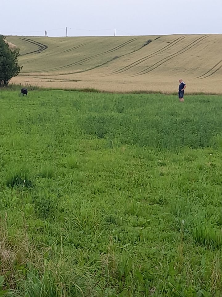 Działka budowlana Waganowice