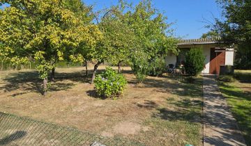 Działka rod Kalisz Szczypiorno, ul. Gościnna