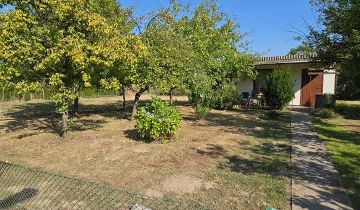 Działka rod Kalisz Szczypiorno, ul. Gościnna