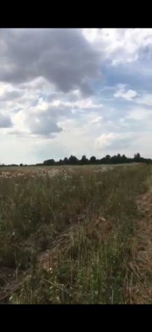 Działka rolna Nowy Dwór. Zdjęcie 1