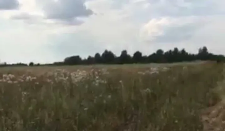 Działka rolna Nowy Dwór