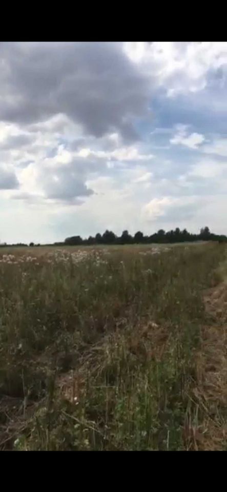 Działka rolna Nowy Dwór. Zdjęcie 1