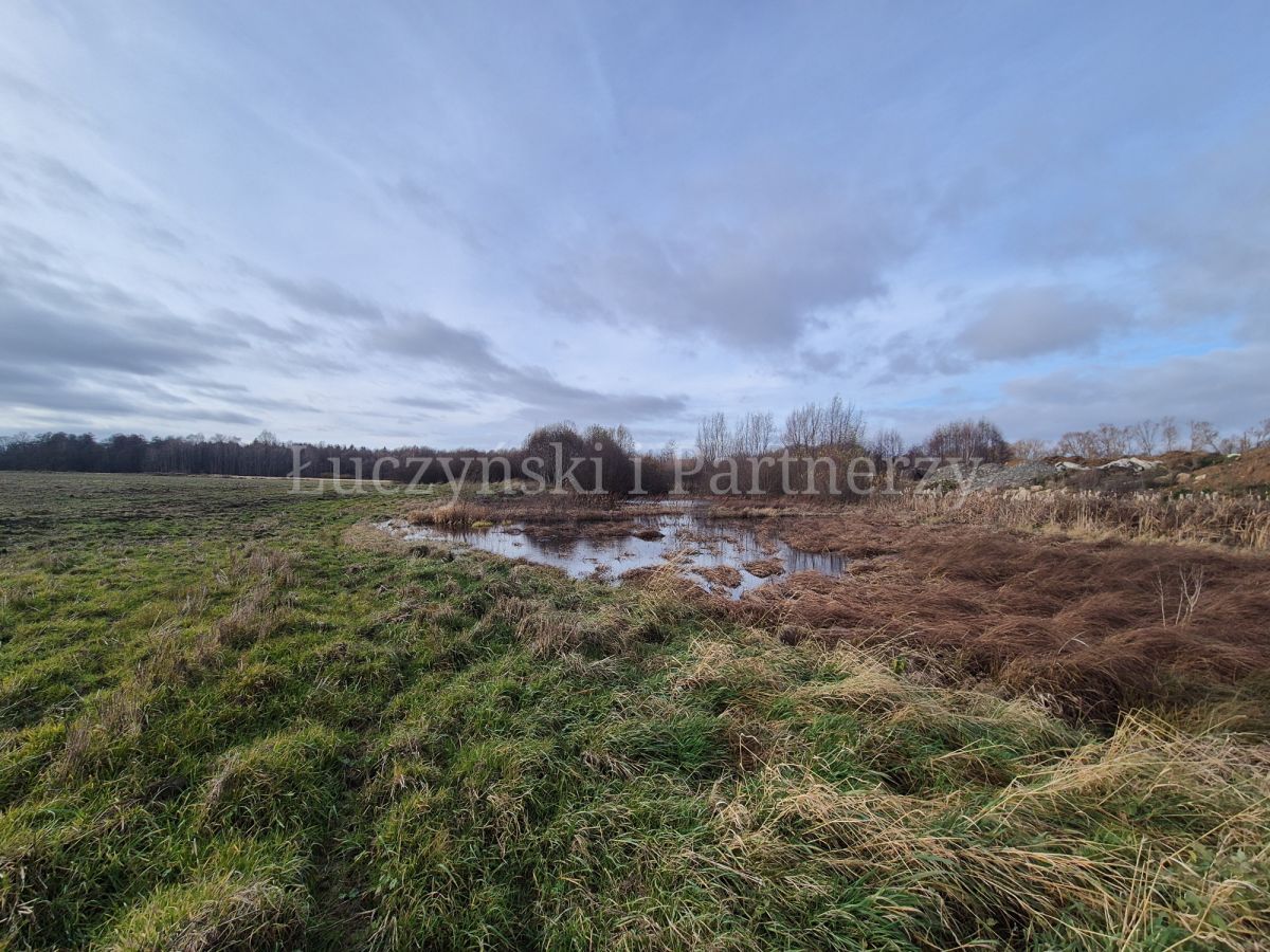 Działka rolna Krzewie Wielkie. Zdjęcie 6