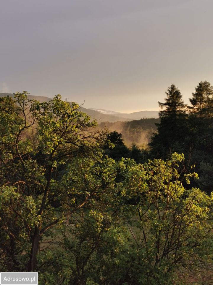 dom letniskowy, 3 pokoje Droginia. Zdjęcie 10