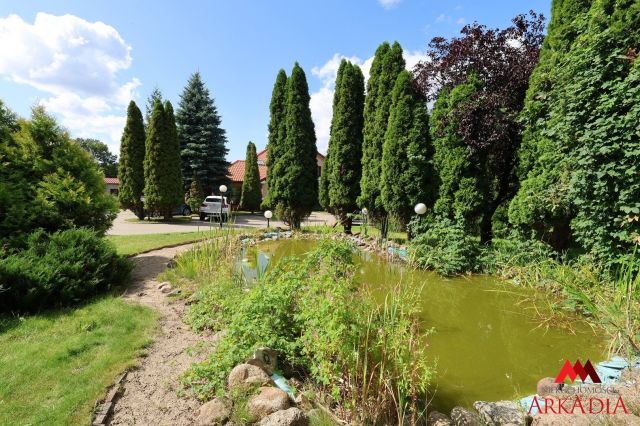 Lokal Włocławek. Zdjęcie 12