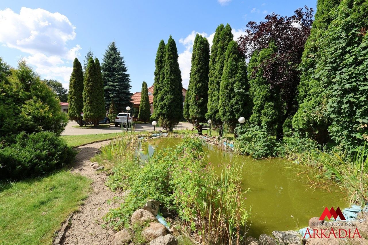 Lokal Włocławek. Zdjęcie 12