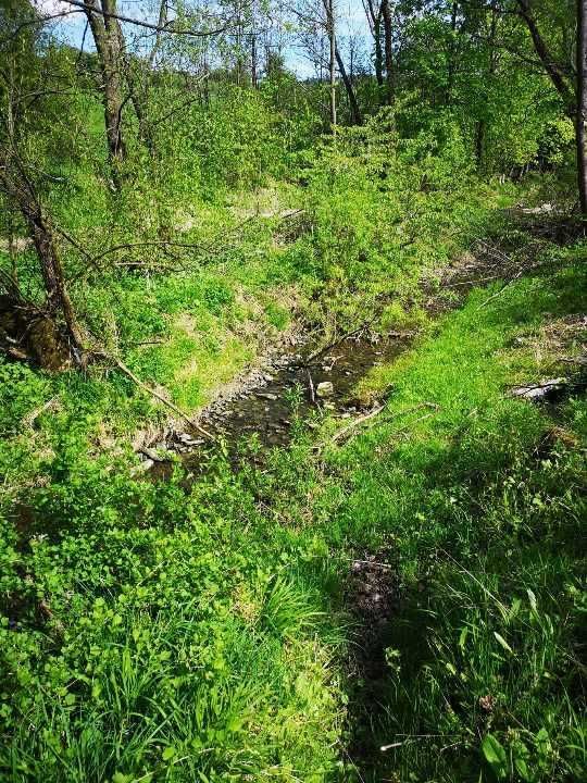 Działka rolna Chyrowa. Zdjęcie 6