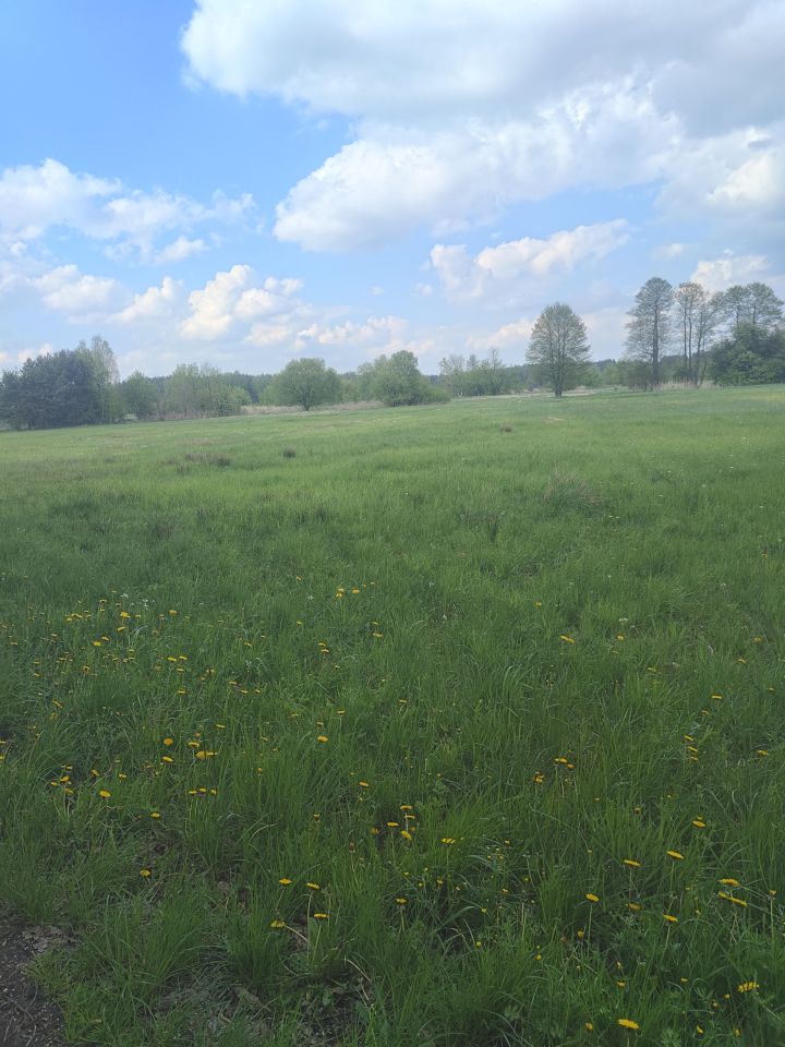 Działka rolno-budowlana Gadka, ul. Letniskowa. Zdjęcie 4