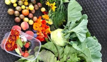 Działka rod Warszawa Dolny Mokotów, ul. Inspektowa