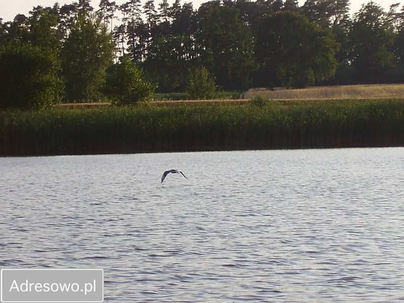 Działka rolno-budowlana Grabowo. Zdjęcie 2