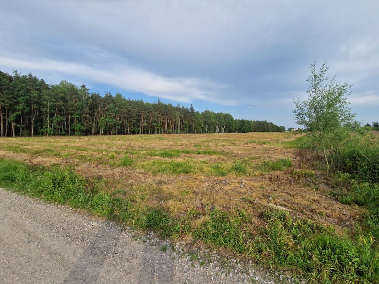 Działka rolno-budowlana Martynów. Zdjęcie 5