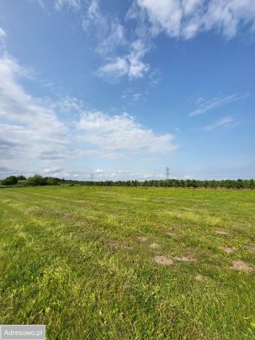 Działka rolna Przyłom. Zdjęcie 1