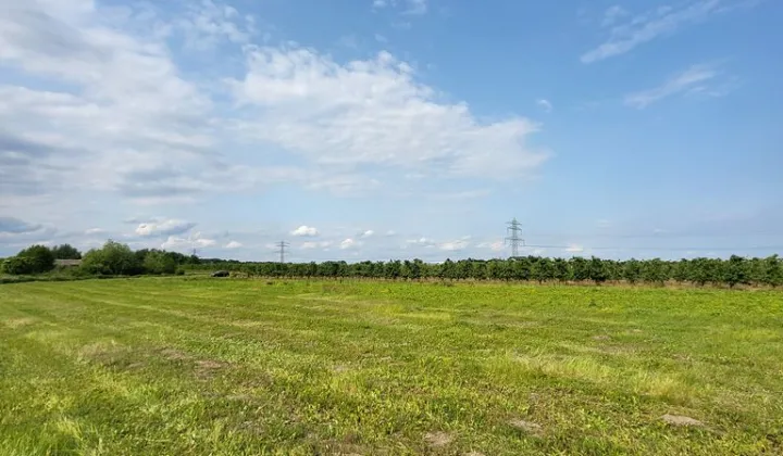 Działka rolna Przyłom