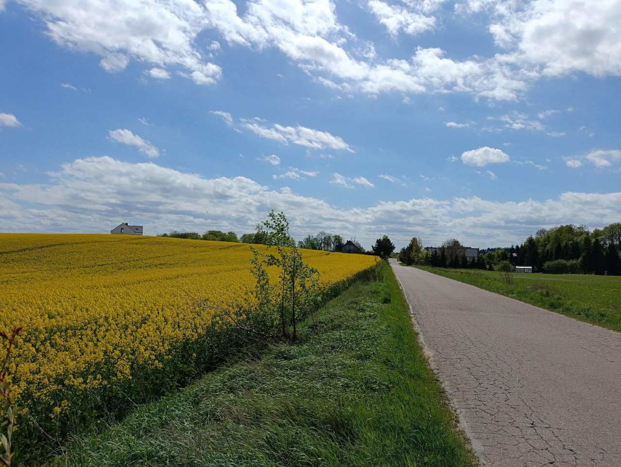 Działka budowlana Szczodrowo Przerębska Huta. Zdjęcie 4