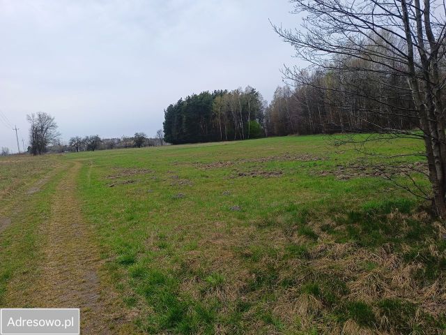 Działka budowlana Cegłów, ul. Wojciecha Oczko. Zdjęcie 4