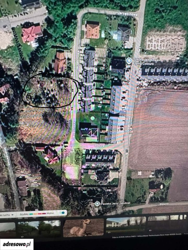 Działka budowlana Krzyków, ul. Jarzębinowa. Zdjęcie 3