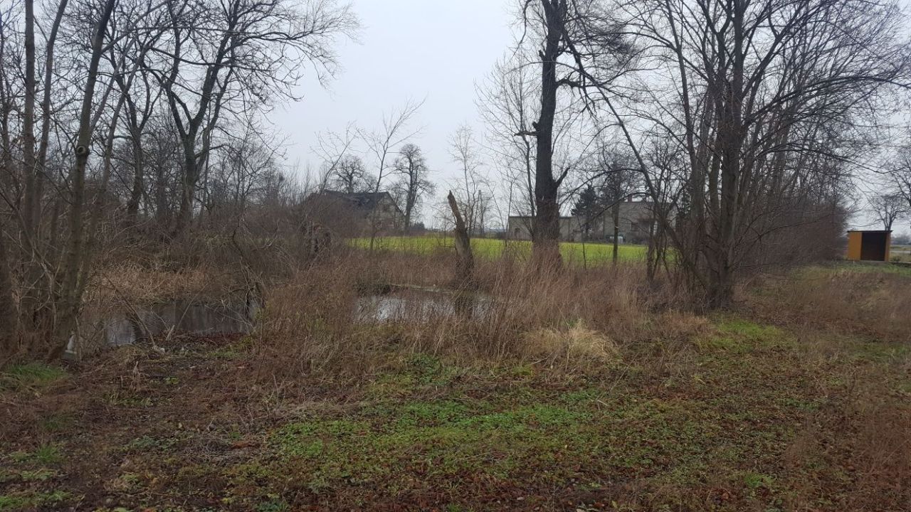 Działka budowlana Żydowo. Zdjęcie 2