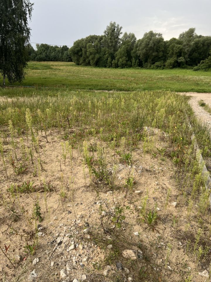 Działka budowlana Kominy. Zdjęcie 10