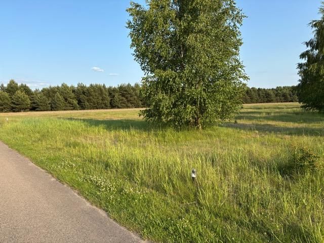 Działka rekreacyjna Krasice. Zdjęcie 4