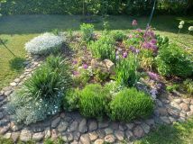 Działka rod Świdnica. Zdjęcie 2