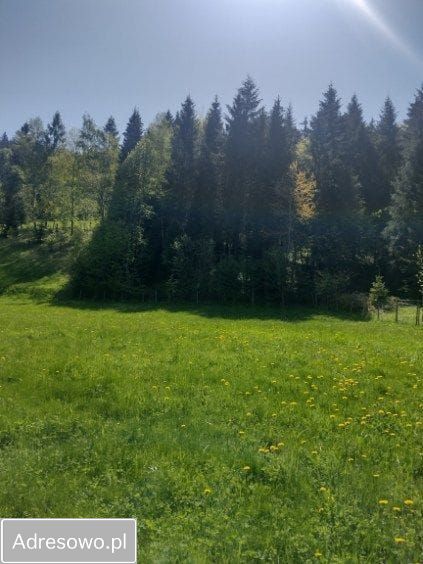 Działka rekreacyjna Szczawa. Zdjęcie 4