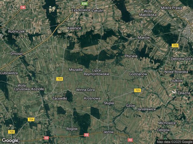 Działka budowlana Lipce Reymontowskie. Zdjęcie 1