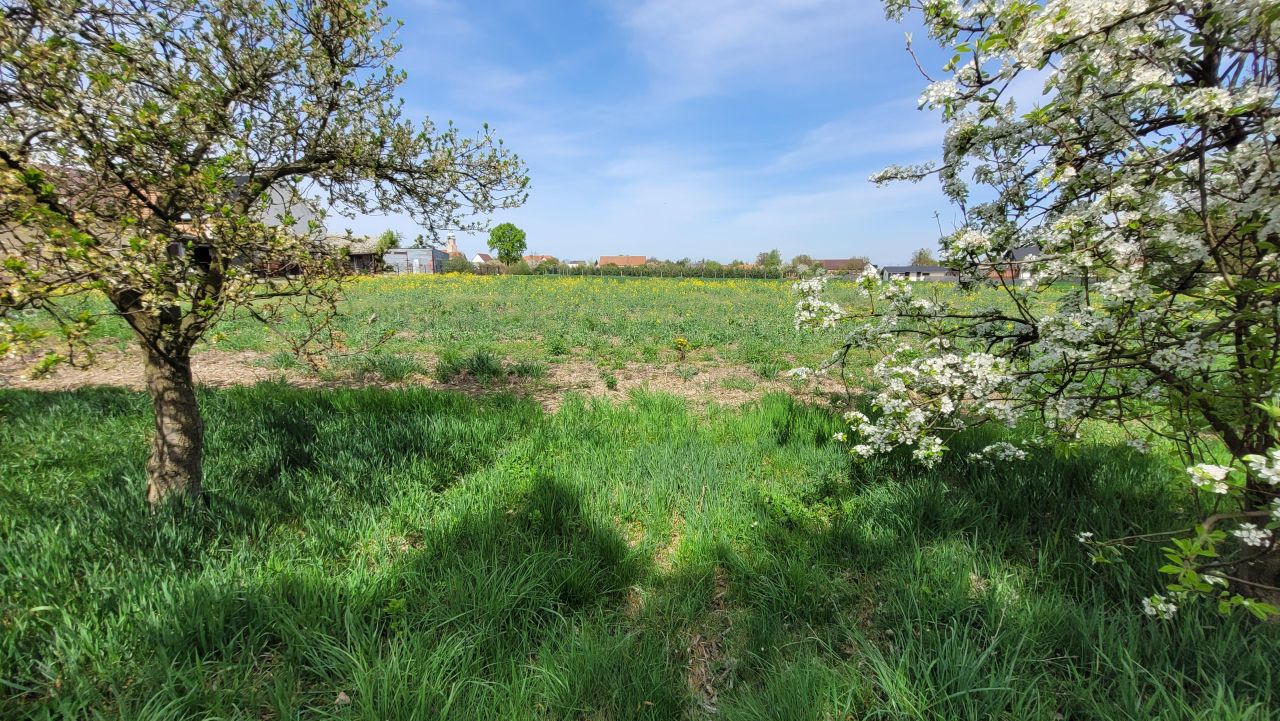 Działka rolno-budowlana Michałów. Zdjęcie 8