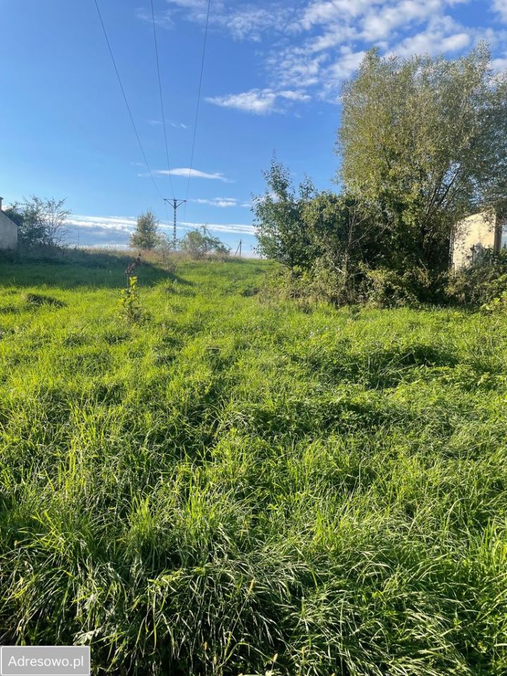 Działka budowlana Pysząca. Zdjęcie 3