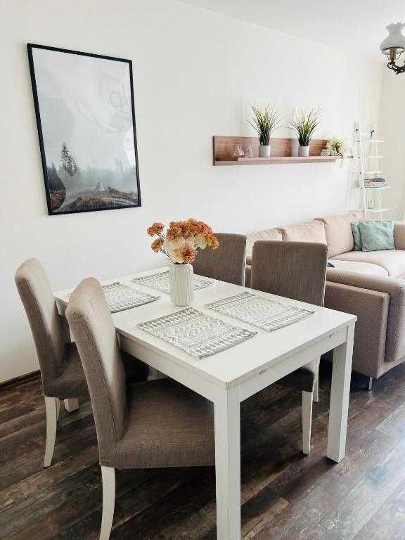 Mieszkanie 2-pokojowe Płock, ul. Henryka Sienkiewicza. Zdjęcie 6