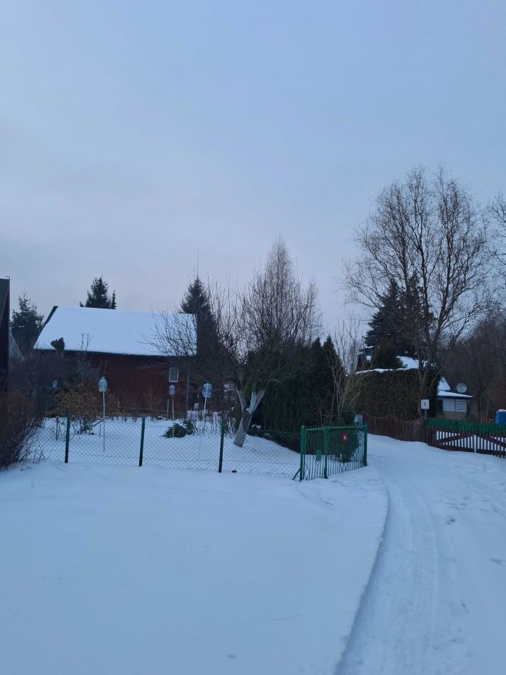 Działka rod Przypki. Zdjęcie 3