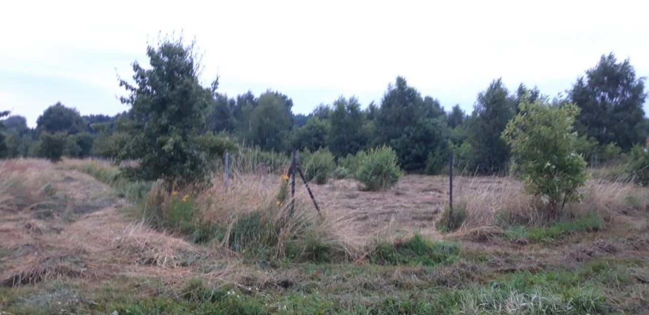 Działka rolna Łukęcin. Zdjęcie 3