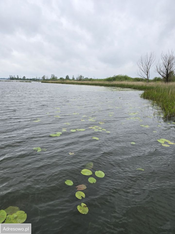 Działka rekreacyjna Windyki. Zdjęcie 7
