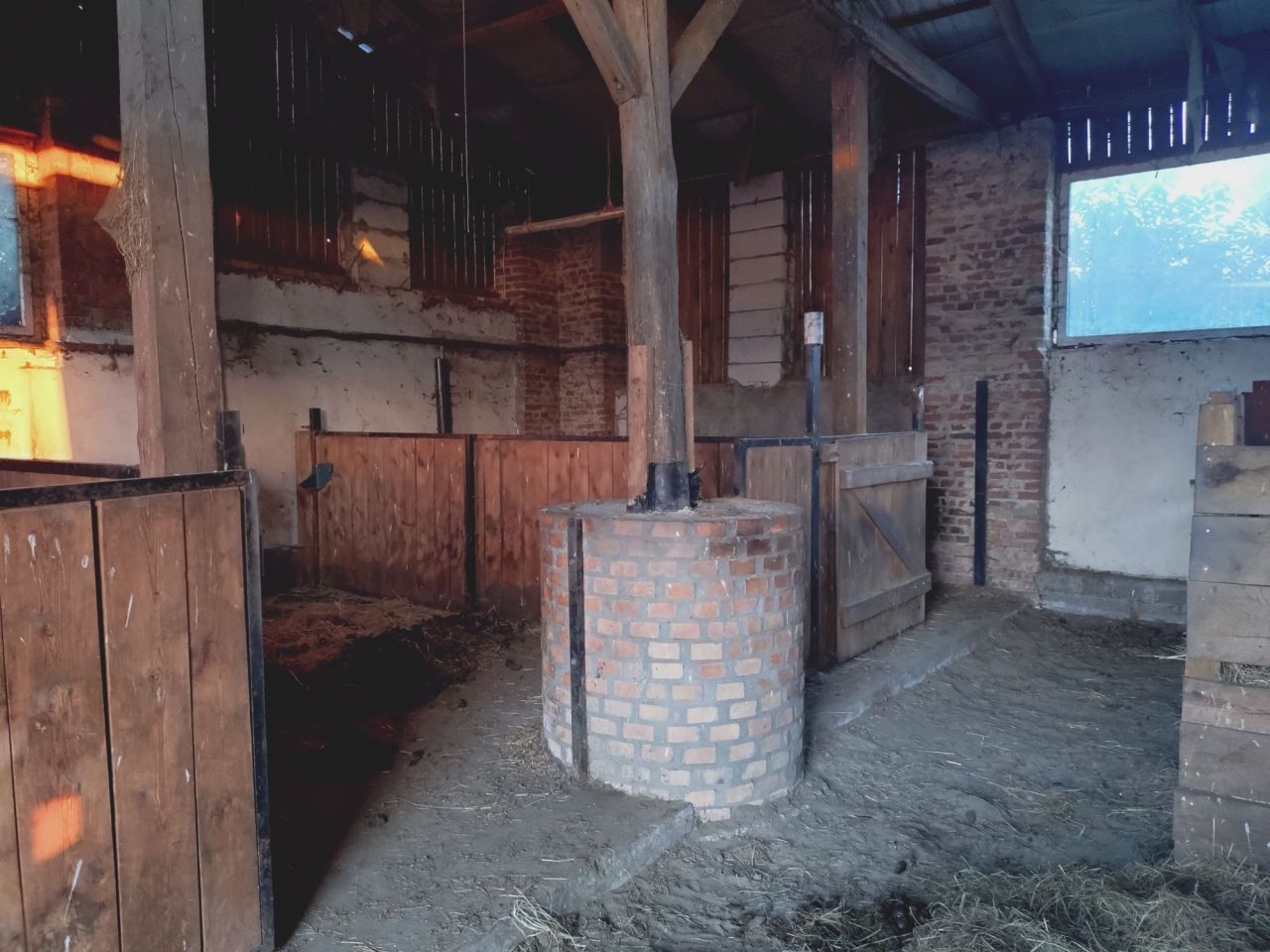 Działka rolna Jarnatów. Zdjęcie 14