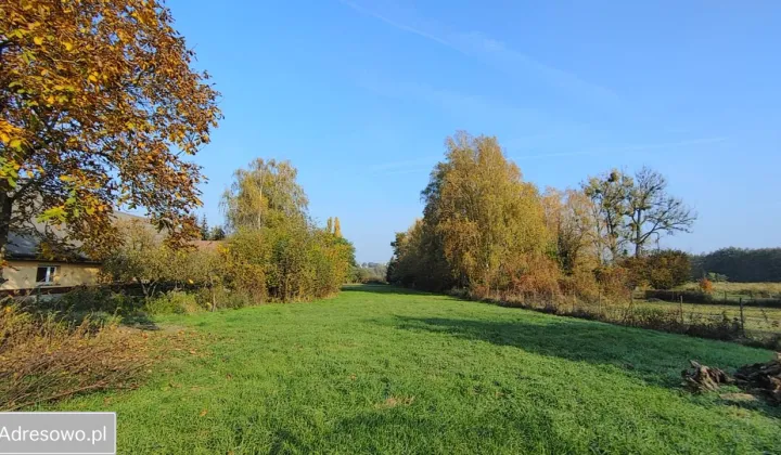 Działka budowlana Kobylniki, ul. Szamotulska