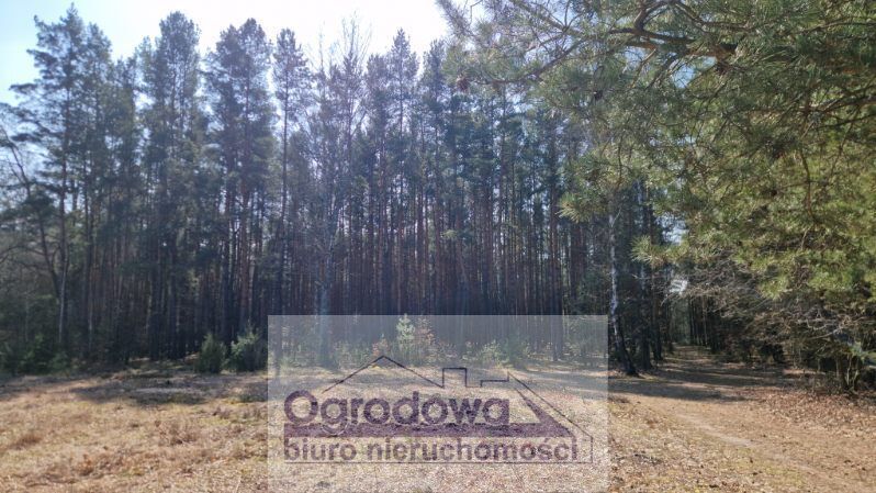 Działka budowlana Kąty. Zdjęcie 5
