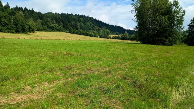 Działka rekreacyjna Daliowa. Zdjęcie 1