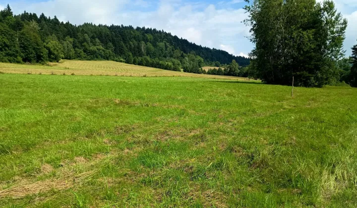 Działka rekreacyjna Daliowa