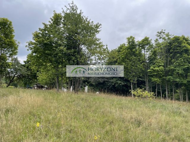 Działka Nowa Wieś Przywidzka. Zdjęcie 5