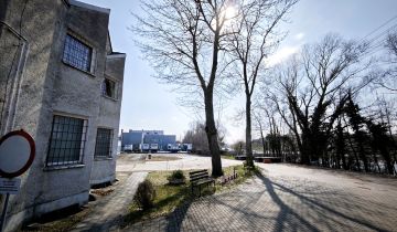 Lokal Opole, ul. św. Jacka