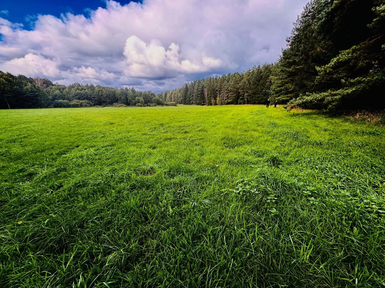 Działka rolna Nitki. Zdjęcie 8