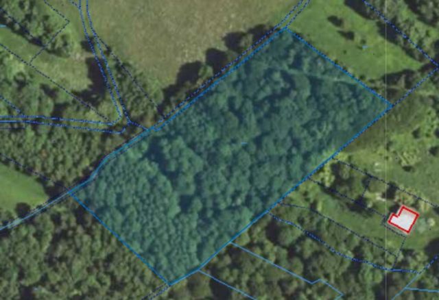 Działka leśna Jaszczurowa Ponikwa. Zdjęcie 8