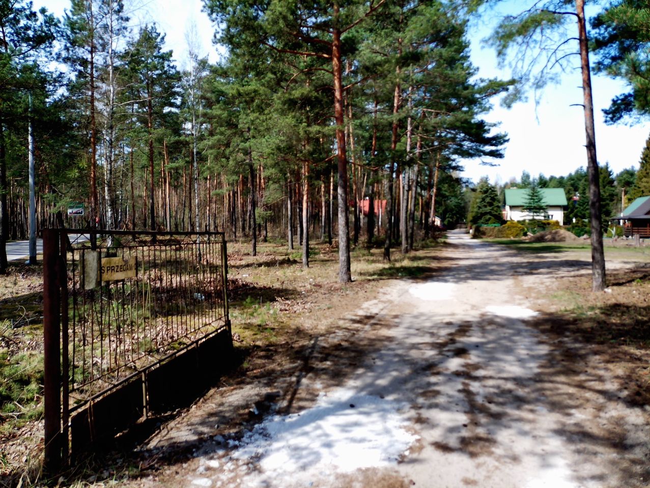 Działka leśna Marynino. Zdjęcie 40