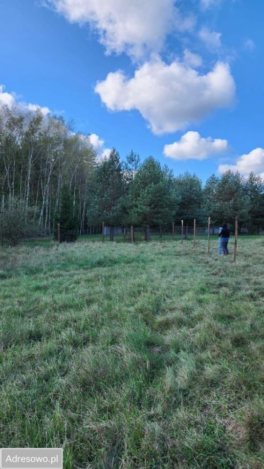 Działka budowlana Ogrodzieniec, ul. Spokojna. Zdjęcie 2