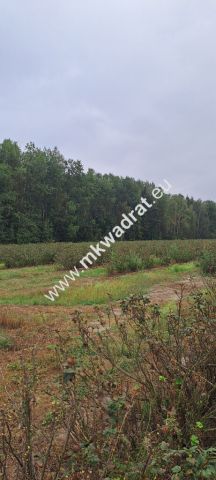 Działka budowlana Powązki. Zdjęcie 2