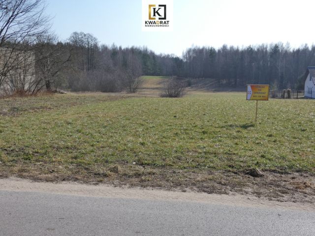 Działka Budy Wielgoleskie. Zdjęcie 5