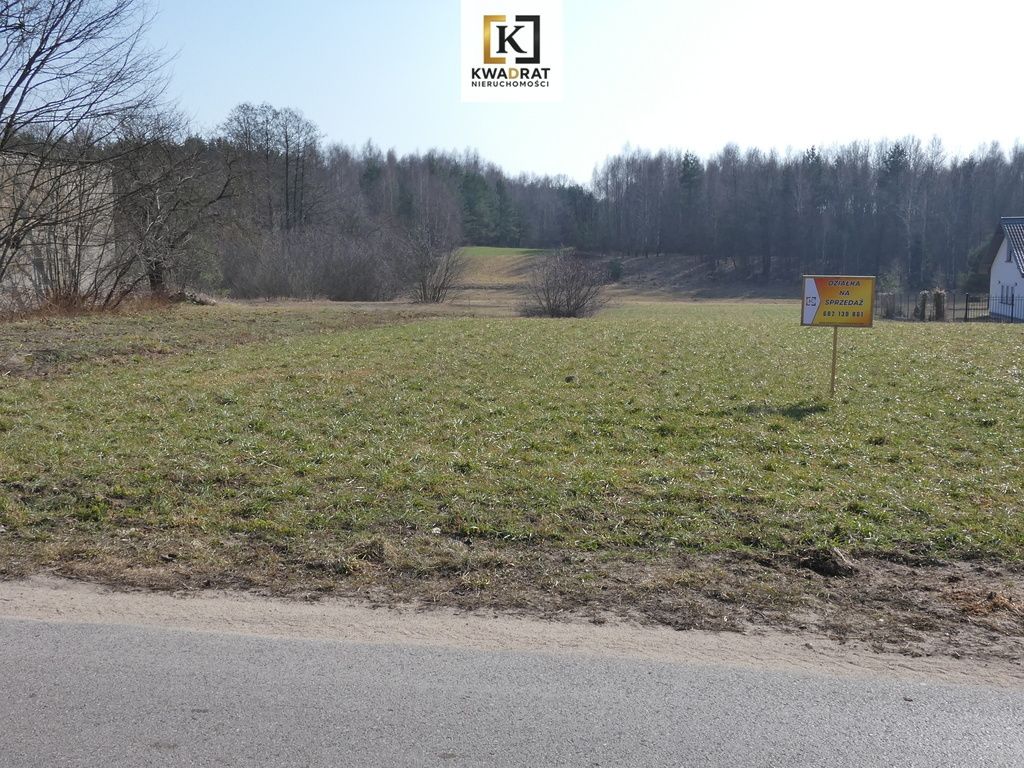 Działka Budy Wielgoleskie. Zdjęcie 5