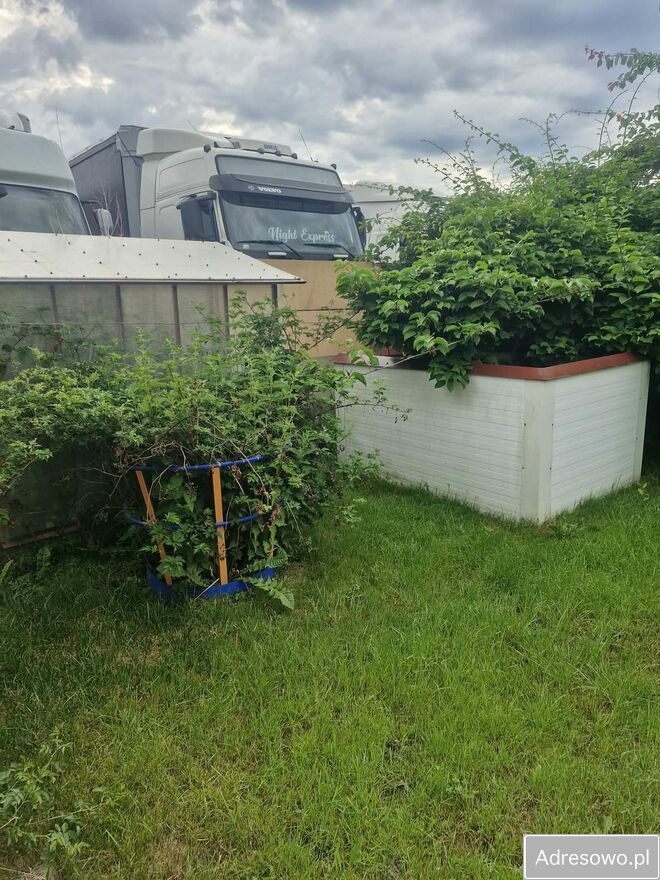 Działka rod Koszalin. Zdjęcie 3