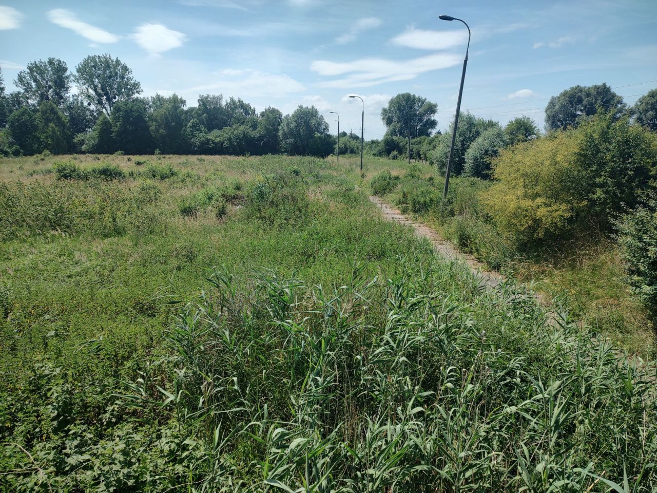 Działka inwestycyjna Gronowo Górne, ul. Berylowa. Zdjęcie 1